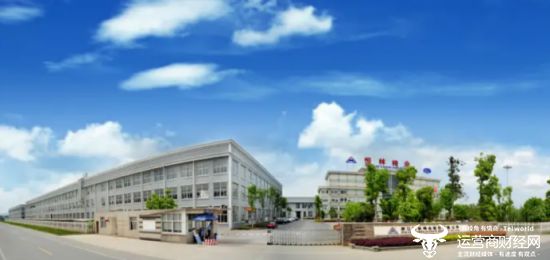 恒林股份董秘汤鸿雁23岁就当福建天马总裁办主任？怎么回事？(图1)