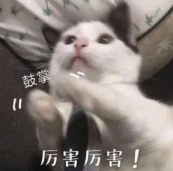 拥抱AI时代景嘉微近40亿定增打造高性能通用GPU(图10)