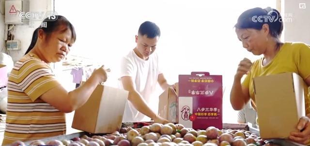 活跃、第一、增长……中国经济“新”的发展 “质”的跃迁有支撑(图3)
